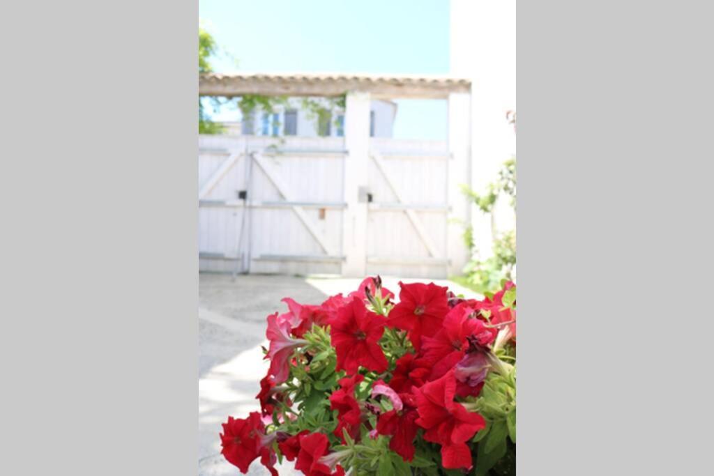 Beau T3 *** Pour 2 A 4 Pers Avec Patio Privatif Apartment La Couarde-sur-Mer Exterior photo